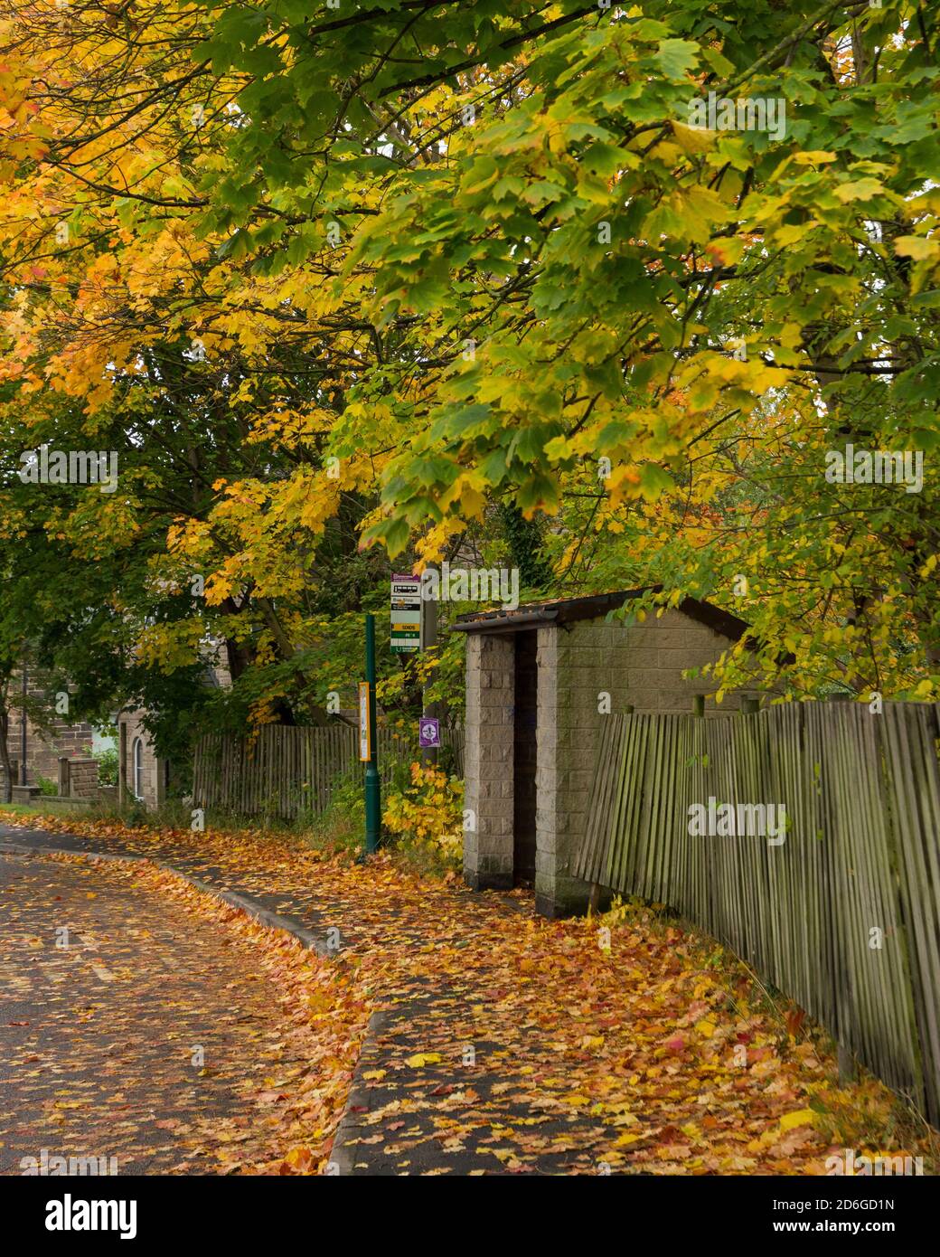 Bus Stop surrounded by autumn colour in Darley Dale, Derbyshire UK Stock Photo Alamy