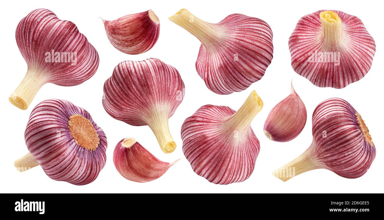 Purple garlic bulb and garlic cloves on white background Stock Photo