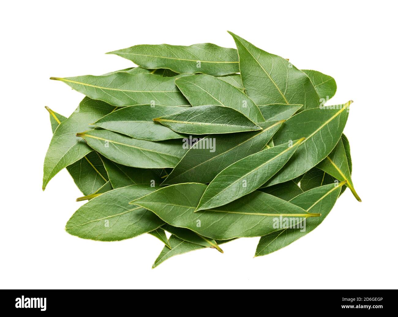 Fresh bay leaves isolated on white background Stock Photo Alamy