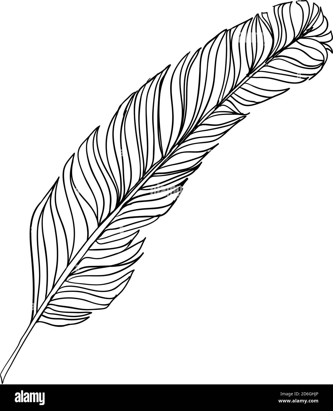 Hand drawn doodle feather isolated from background. Black and white ...