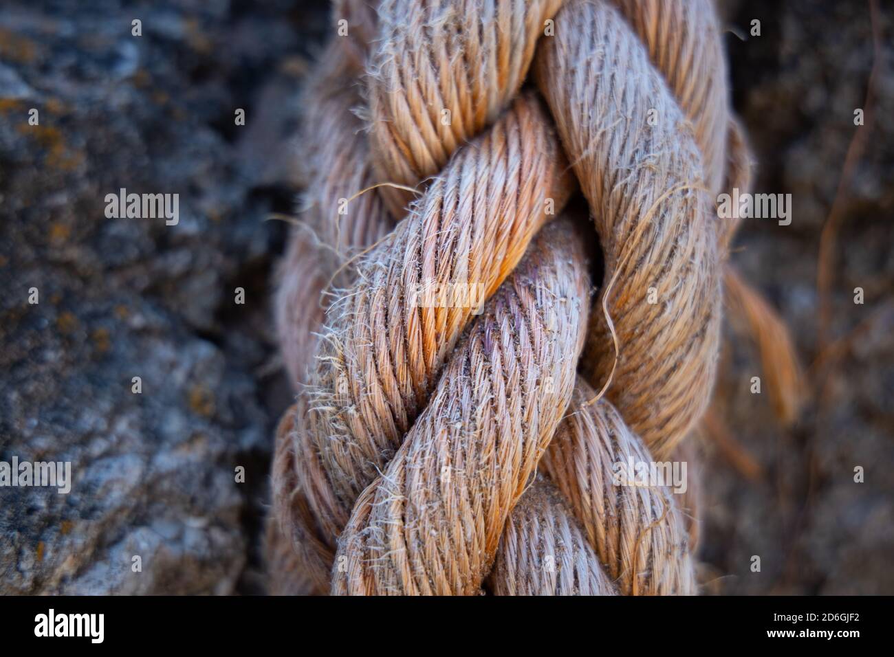 old sea rope close up Stock Photo