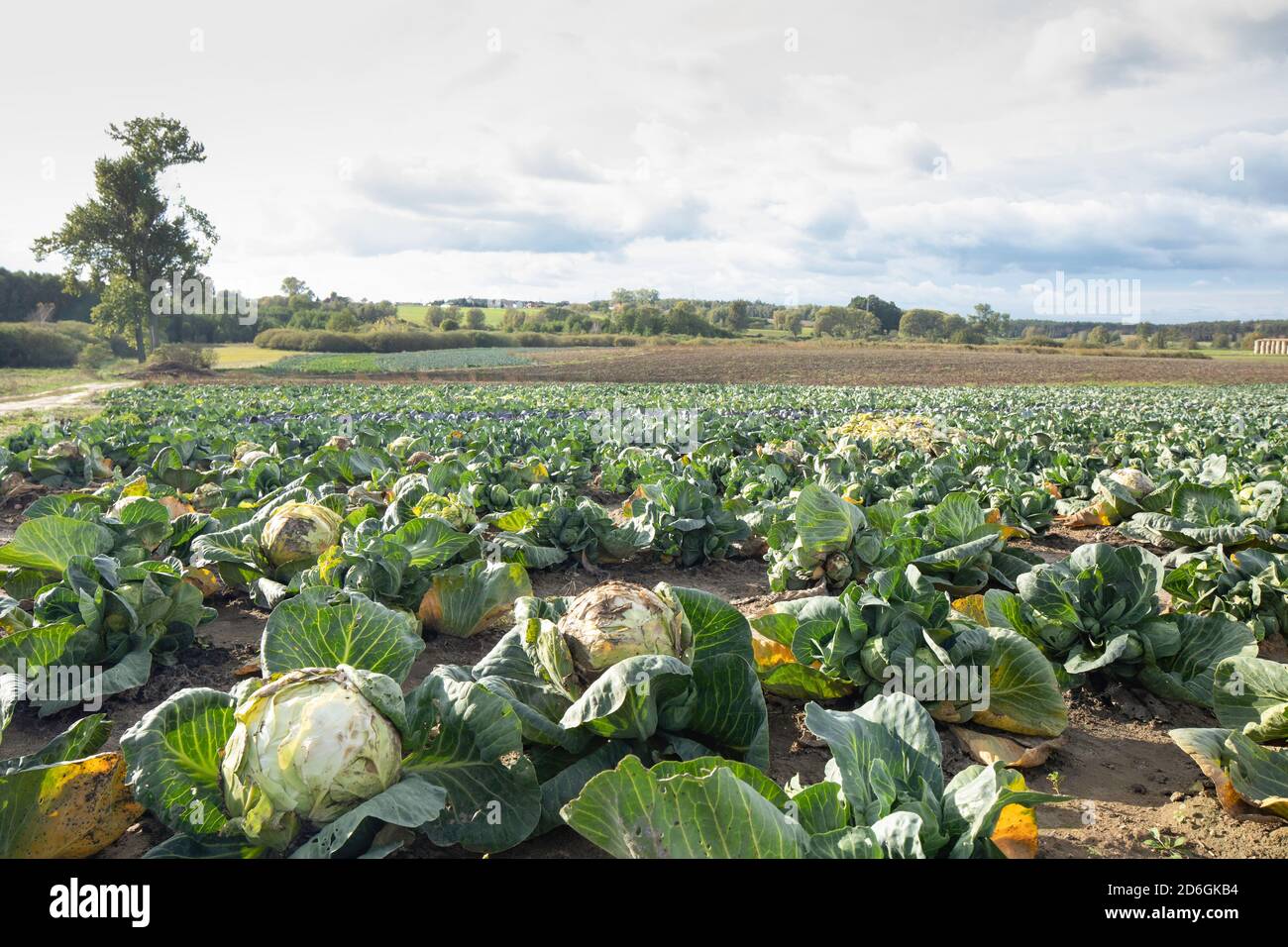 Agriculture in poland hires stock photography and images Alamy