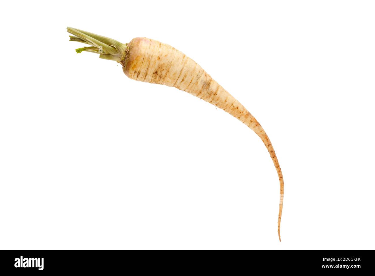 raw parsley root isolated on white background Stock Photo Alamy