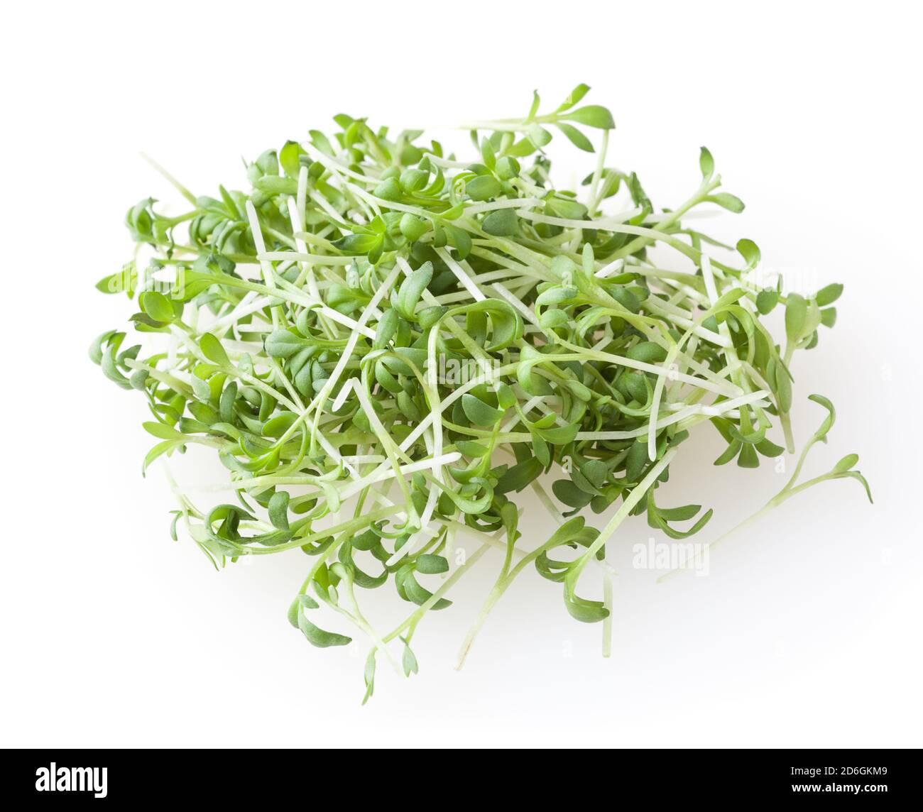 Heap of micro greens garden cress sprouts l isolated on white background Stock Photo