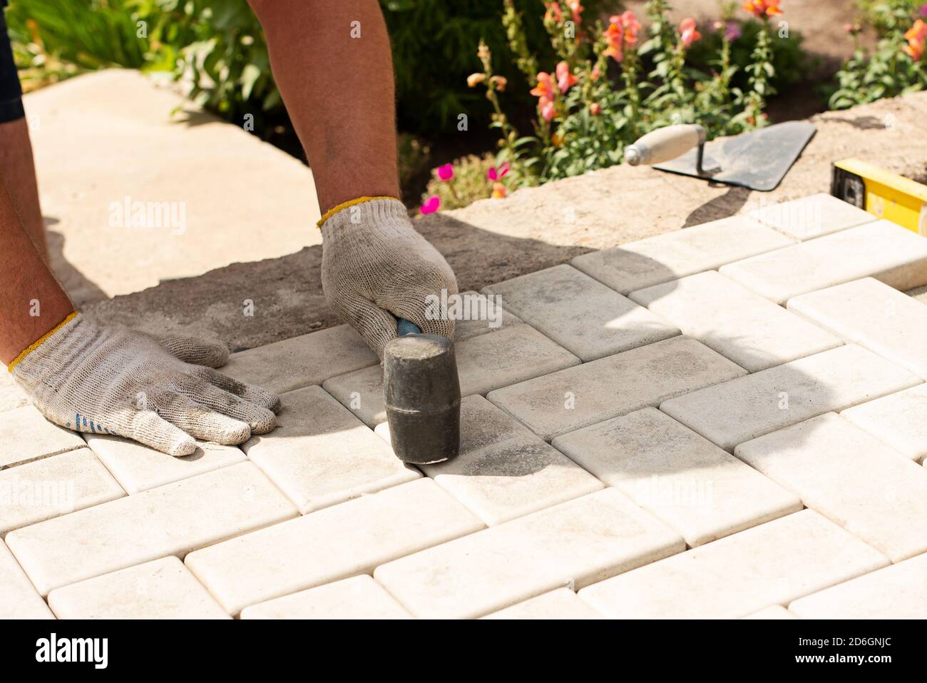 The master lays paving stones in layers. Garden brick pathway paving