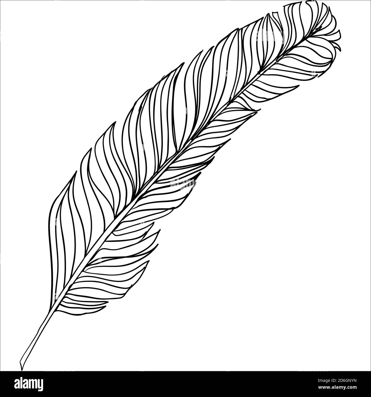 Hand drawn doodle feather isolated from background. Black and white ...
