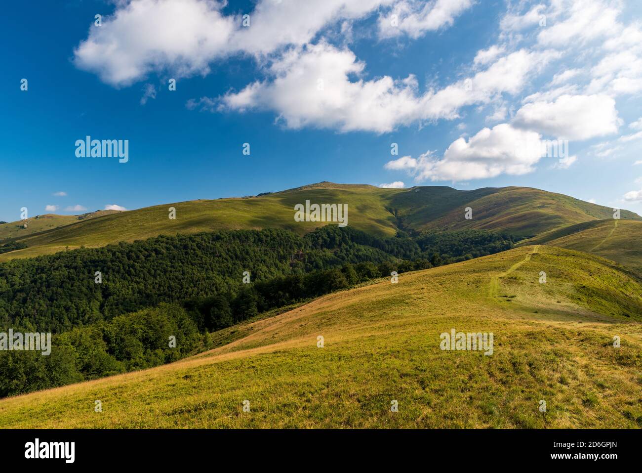 Wild Carpathian mountains in Romania covered by meadows and deep forest - Valcan mountains with Coarnele hill during summer morning Stock Photo