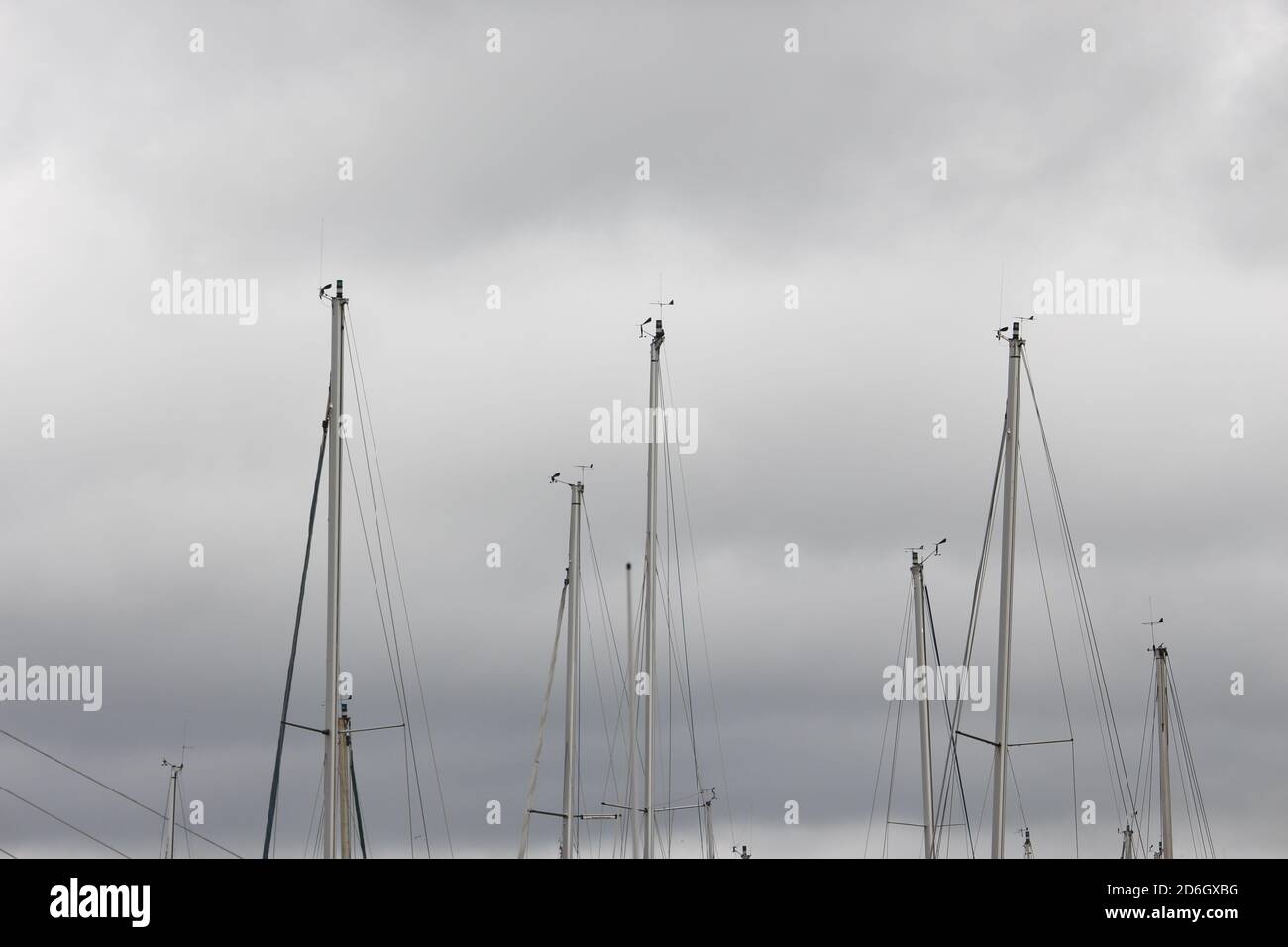 A photograph of yacht masts in a harbour, against a grey cloudy sky ...