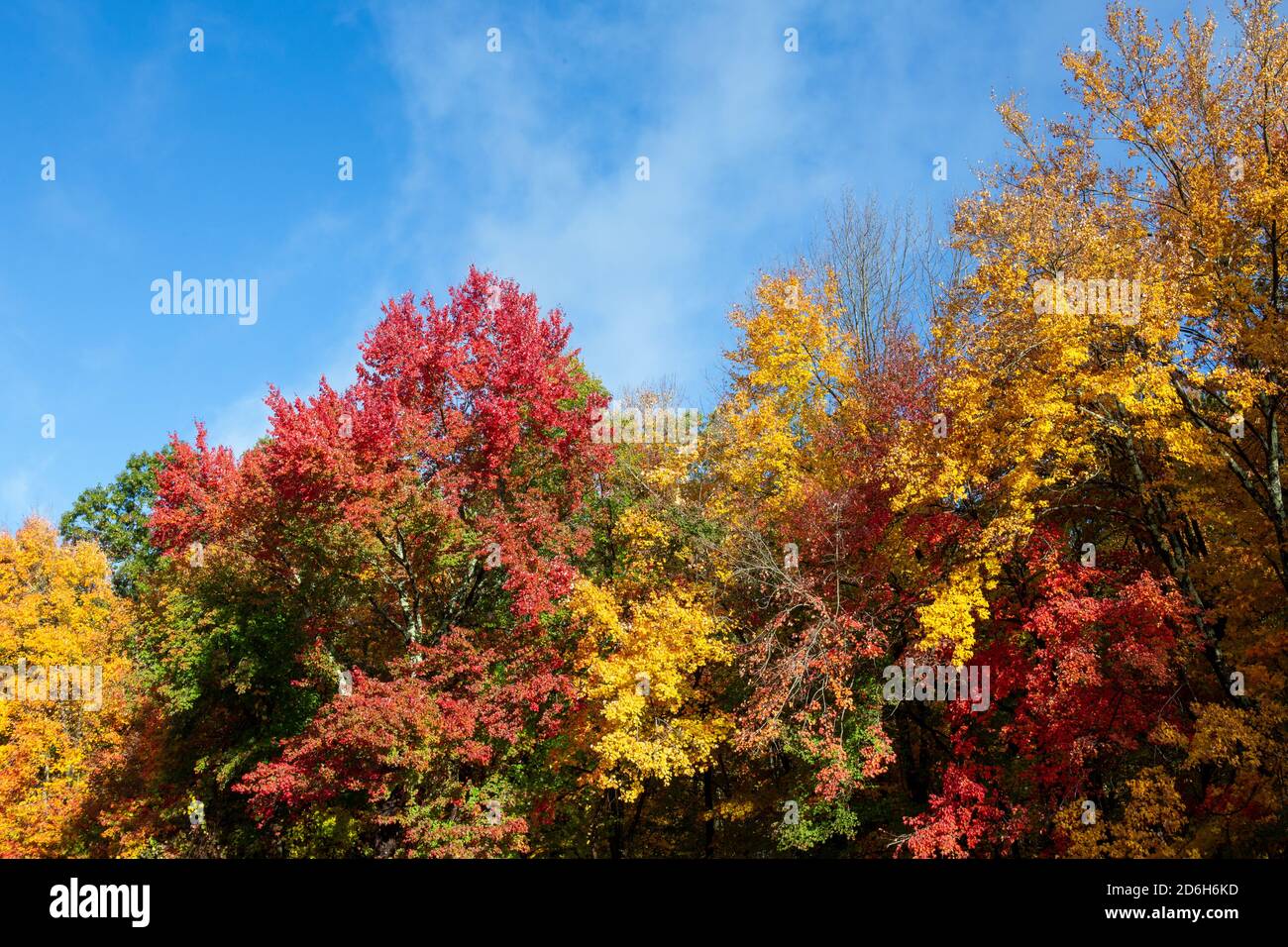 Fall foliage colors of New England Stock Photo - Alamy