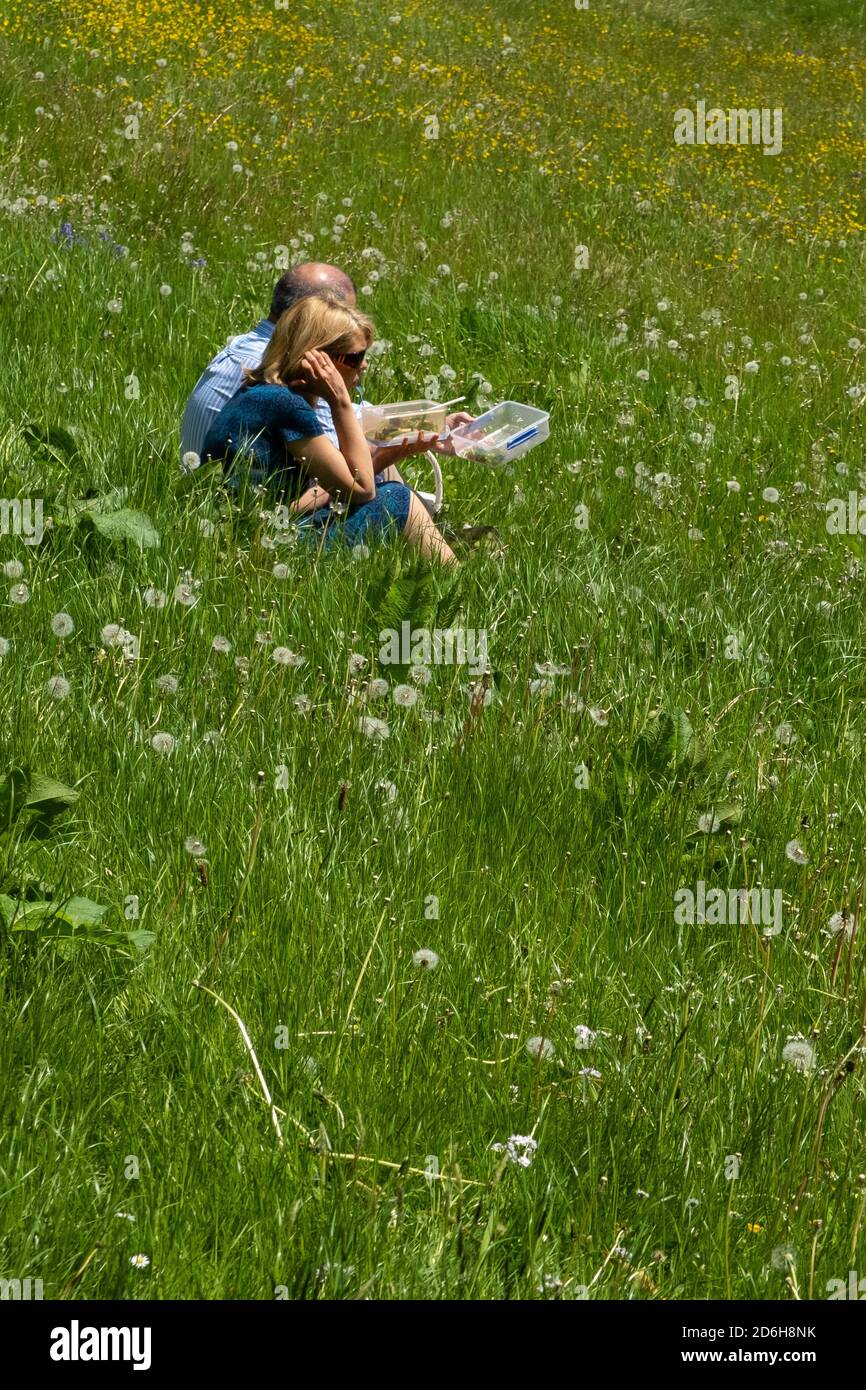 A middle aged couple sit on the side of a slope in the long grass and eat their packed lunch in the early summer sunshineat the National Trust propert Stock Photo