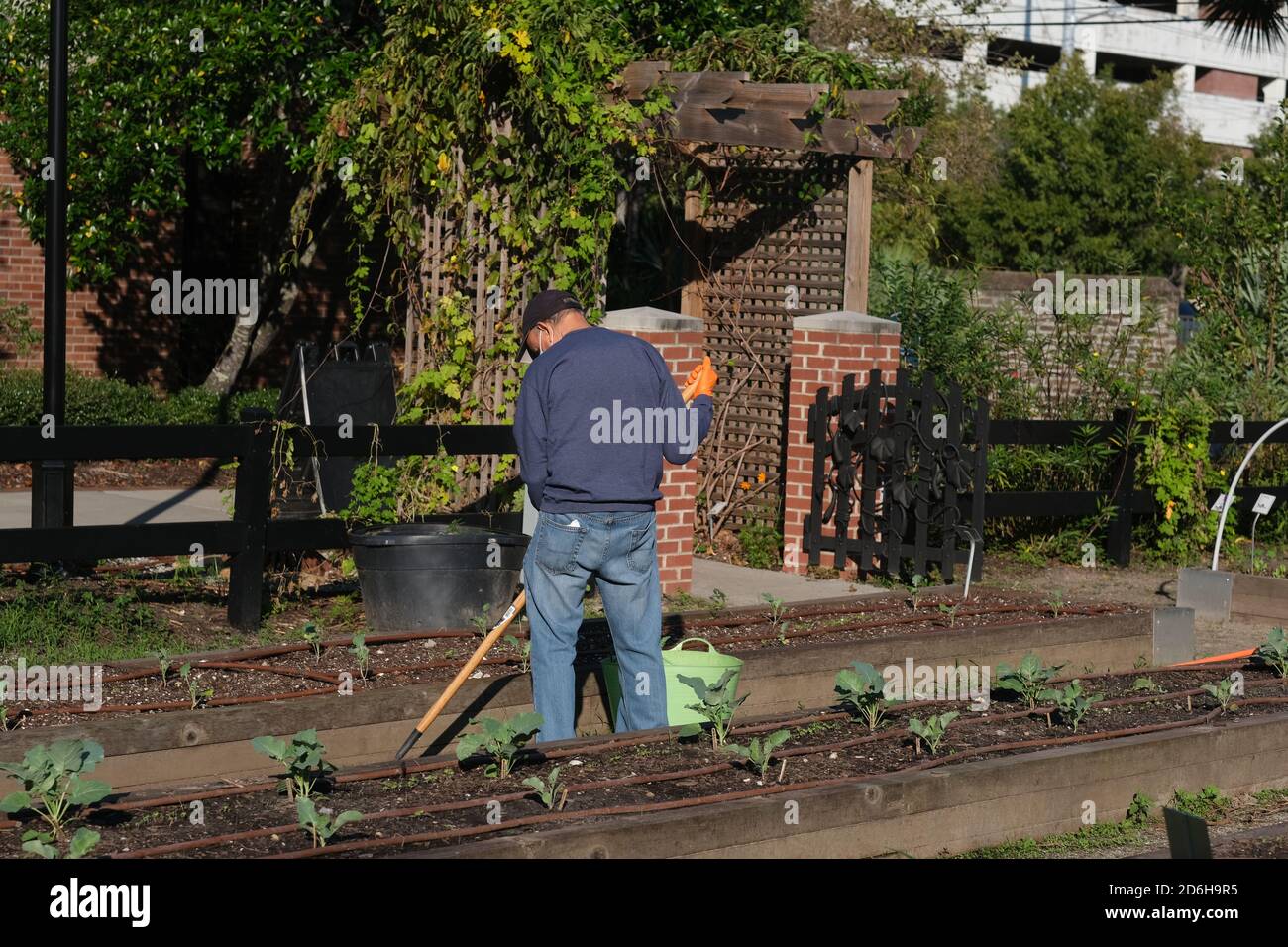 Urban Garden, Halloween, Fountain,, Construction, Huguenot Church, Cemetery, Pumpkin in Window, Pun with Vegetables. Stock Photo