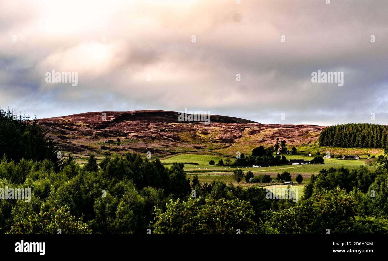 A scenic view from Glenlivet Scotland Stock Photo Alamy