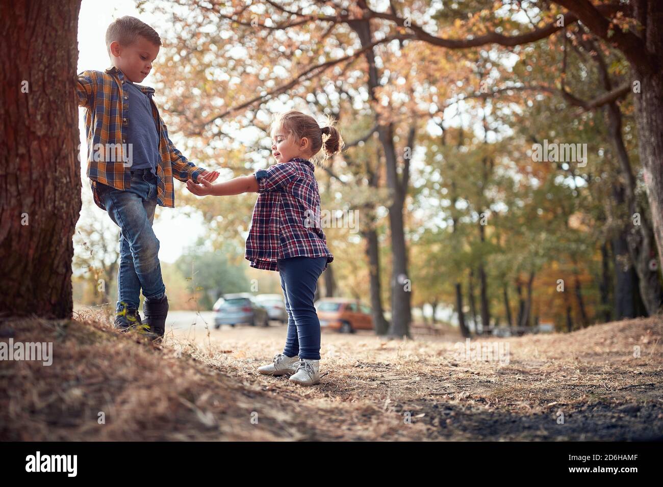 Little brother and sister playing in the woods on a beautiful autumn ...