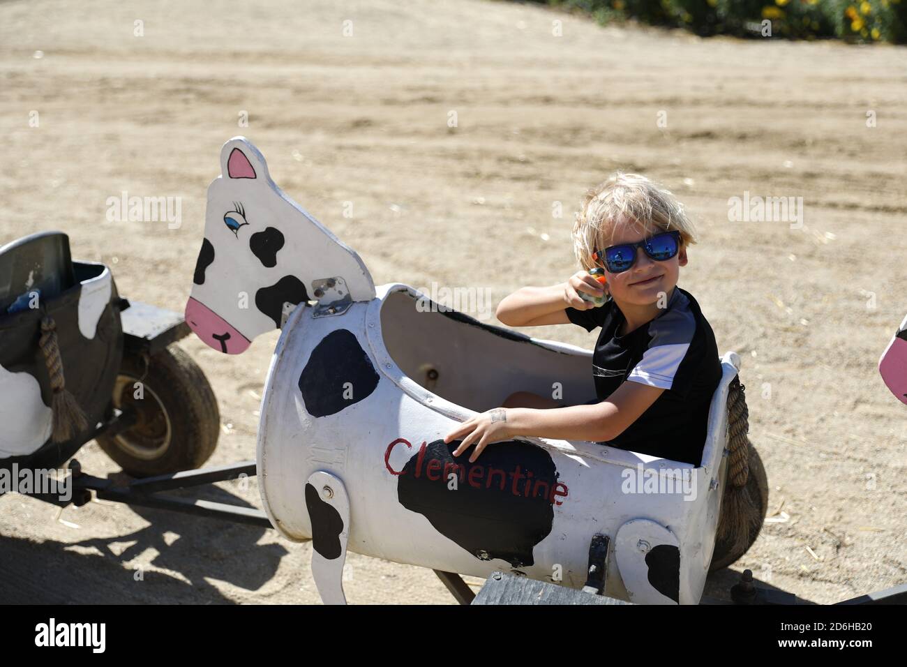 Cow ride at Fall Festival at Underwood Farms, Moorpark, California, USA Stock Photo