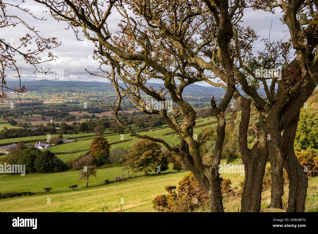 View overlooking the Vale of Clwyd from the Clwydian Range, North Wales Stock Photo