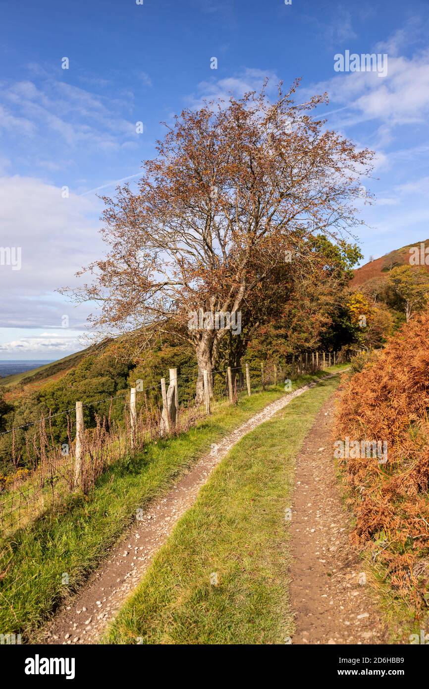 View overlooking the Vale of Clwyd from the Clwydian Range, North Wales Stock Photo
