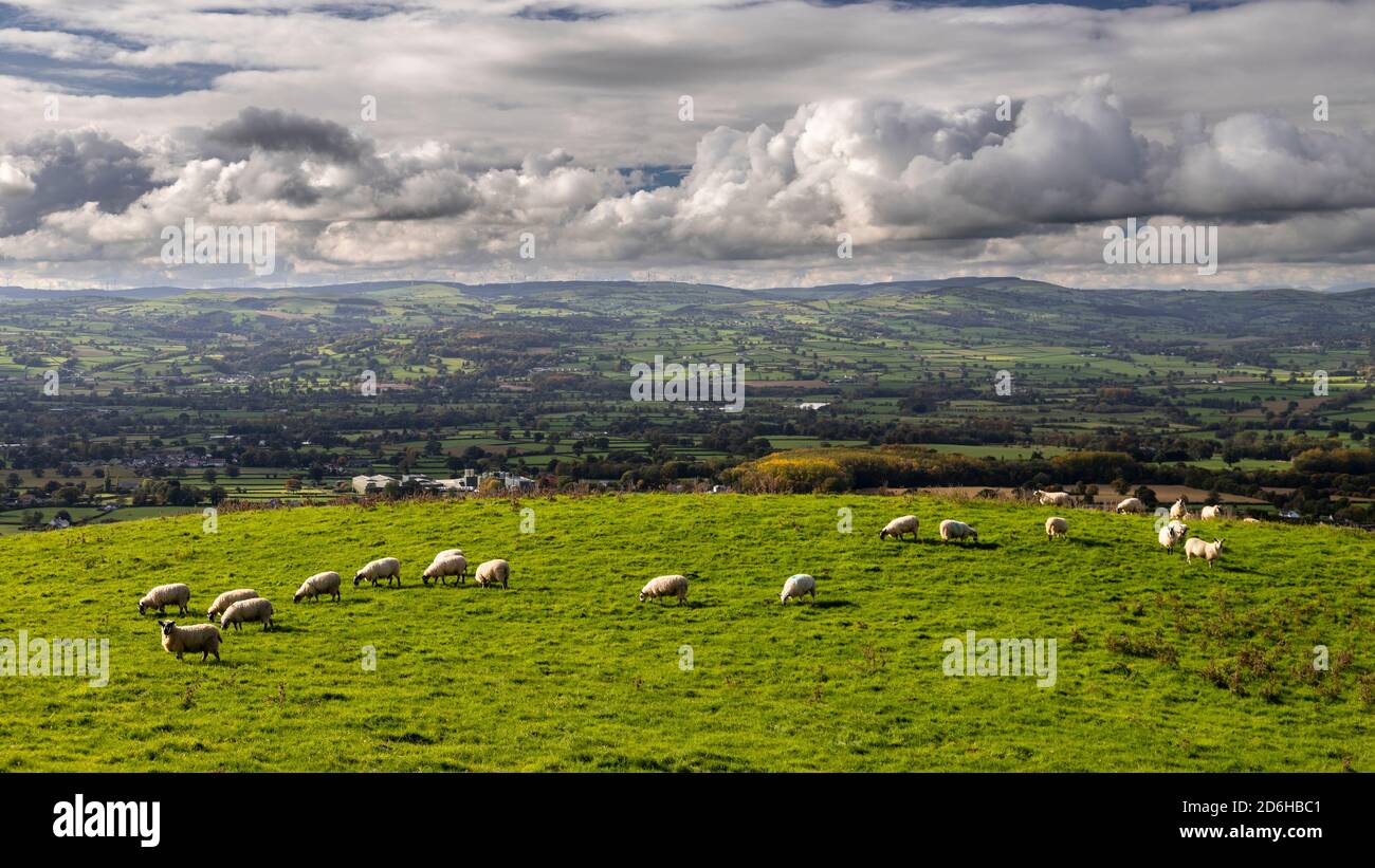 View overlooking the Vale of Clwyd from the Clwydian Range, North Wales Stock Photo
