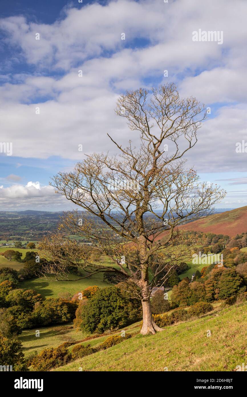 View overlooking the Vale of Clwyd from the Clwydian Range, North Wales Stock Photo