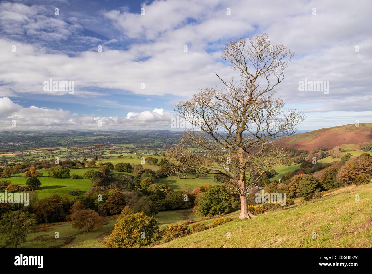View overlooking the Vale of Clwyd from the Clwydian Range, North Wales Stock Photo