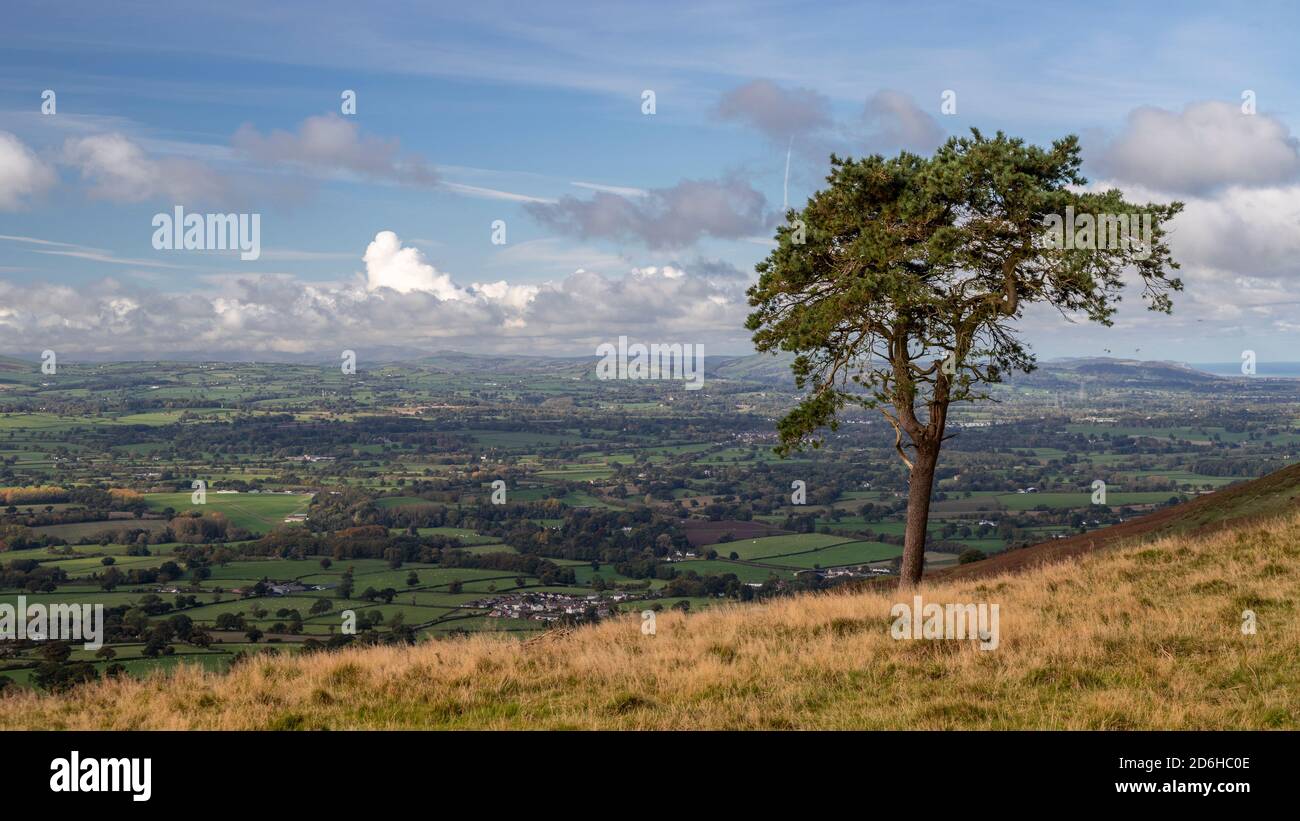 View overlooking the Vale of Clwyd from the Clwydian Range, North Wales Stock Photo