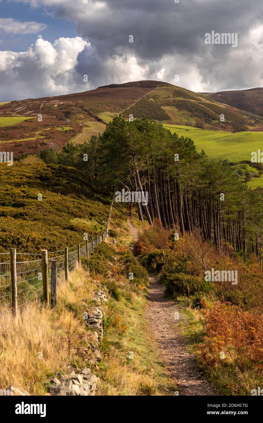 Offa's Dyke path, Clwydian Range, North Wales Stock Photo