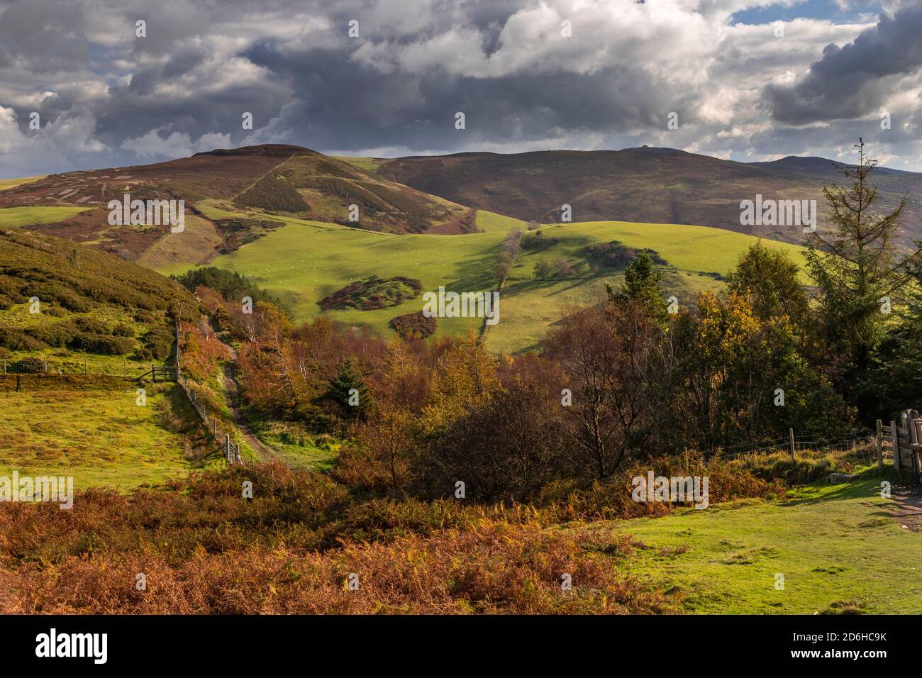 Offa's Dyke path, Clwydian Range, North Wales Stock Photo