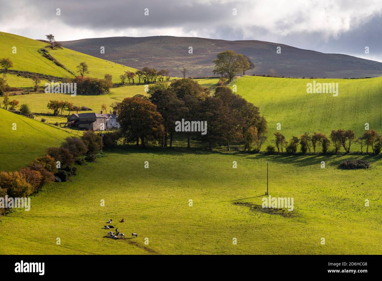 Farm and fields in the Clwyduian Range, North Wales Stock Photo