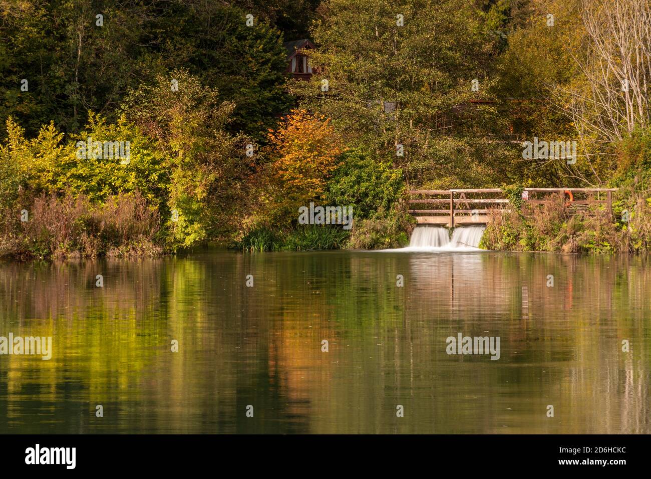 Tranquil pool in autumn at Caerwys, North Wales Stock Photo
