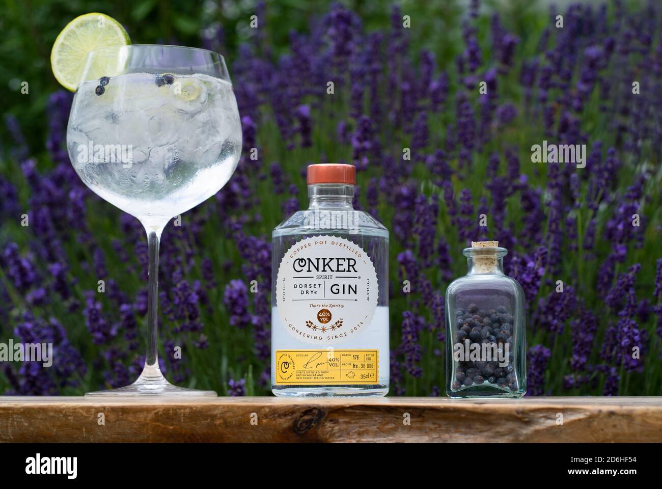 Large gin and tonic drinks glass containing ice and lemon with Conker Dorset Dry Gin bottle in front of lavender bush. Stock Photo