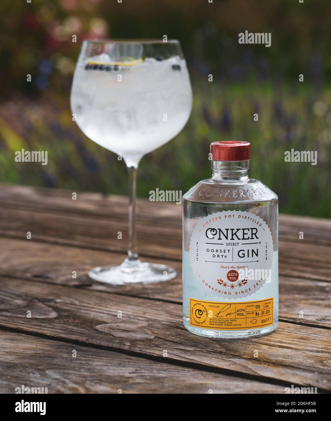 Large gin and tonic drinks glass containing ice and lemon with Conker Dorset Dry Gin bottle in front of lavender bushes in the summer Stock Photo