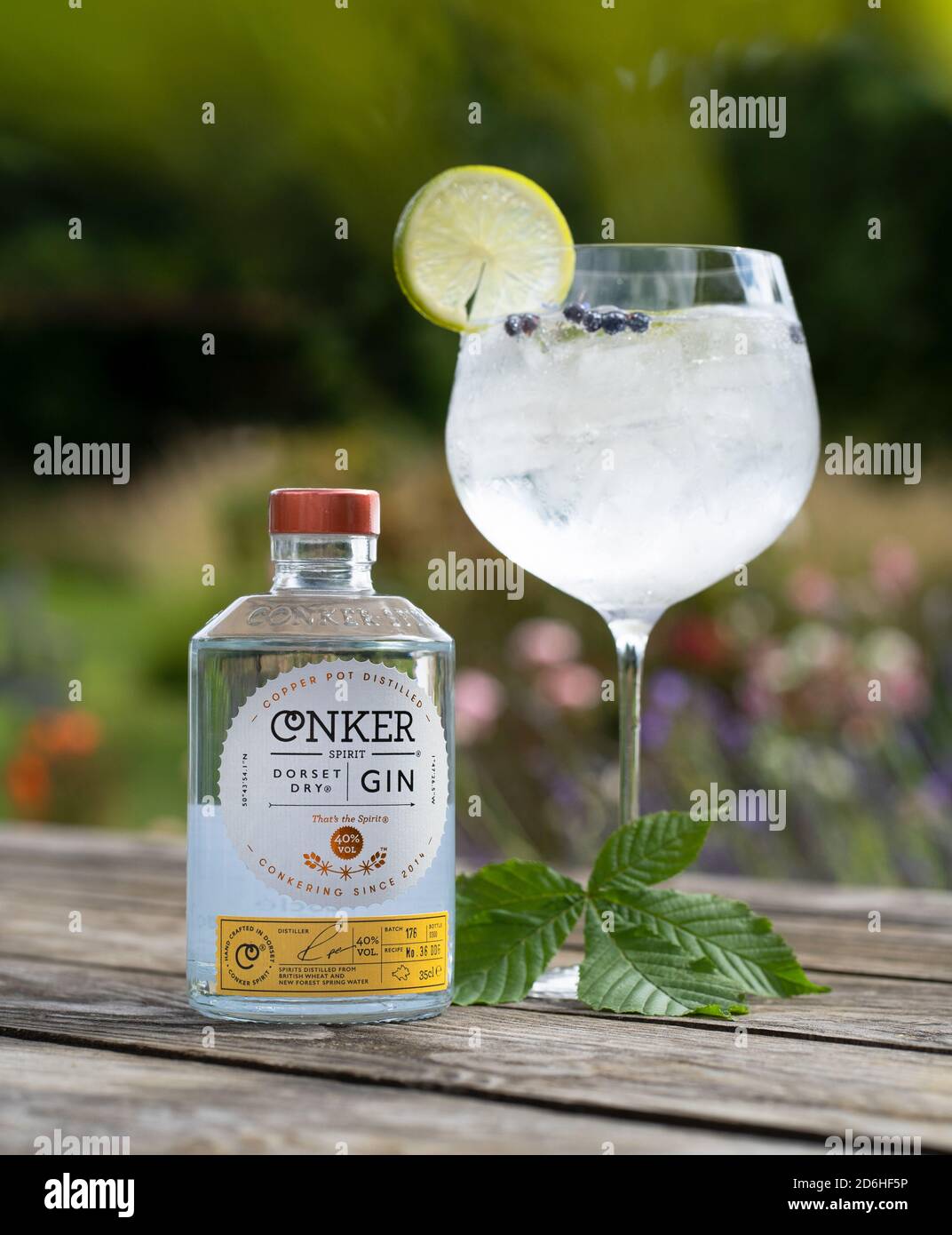 Large gin and tonic drinks glass containing ice and lemon with Conker Dorset Dry Gin bottle with lavender bushes in the summer sunlight on table Stock Photo