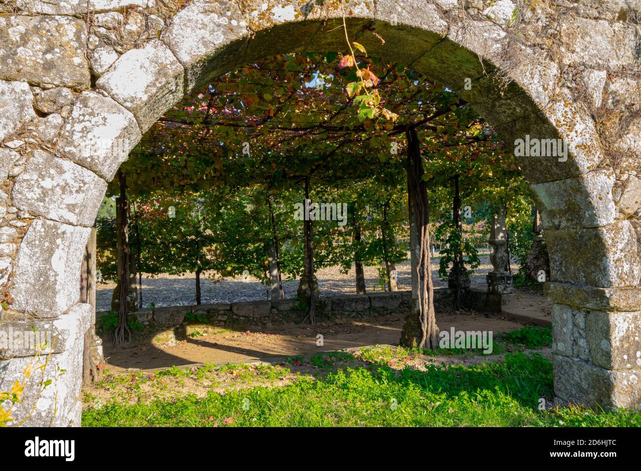 Vinho Verde Portugal wine production from Tibães Monastery called vinhas in portuguese Stock Photo