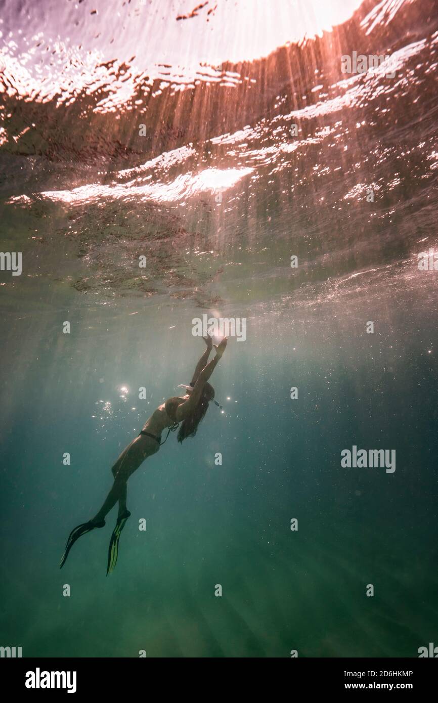 Free diver floating to the ocean's surface in hawaii Stock Photo - Alamy