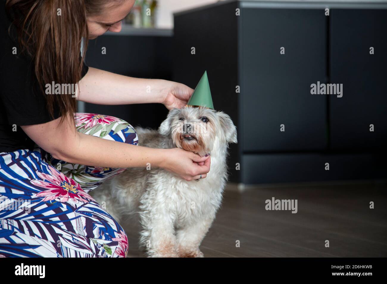 A woman adjusts the party hat of her dog Stock Photo