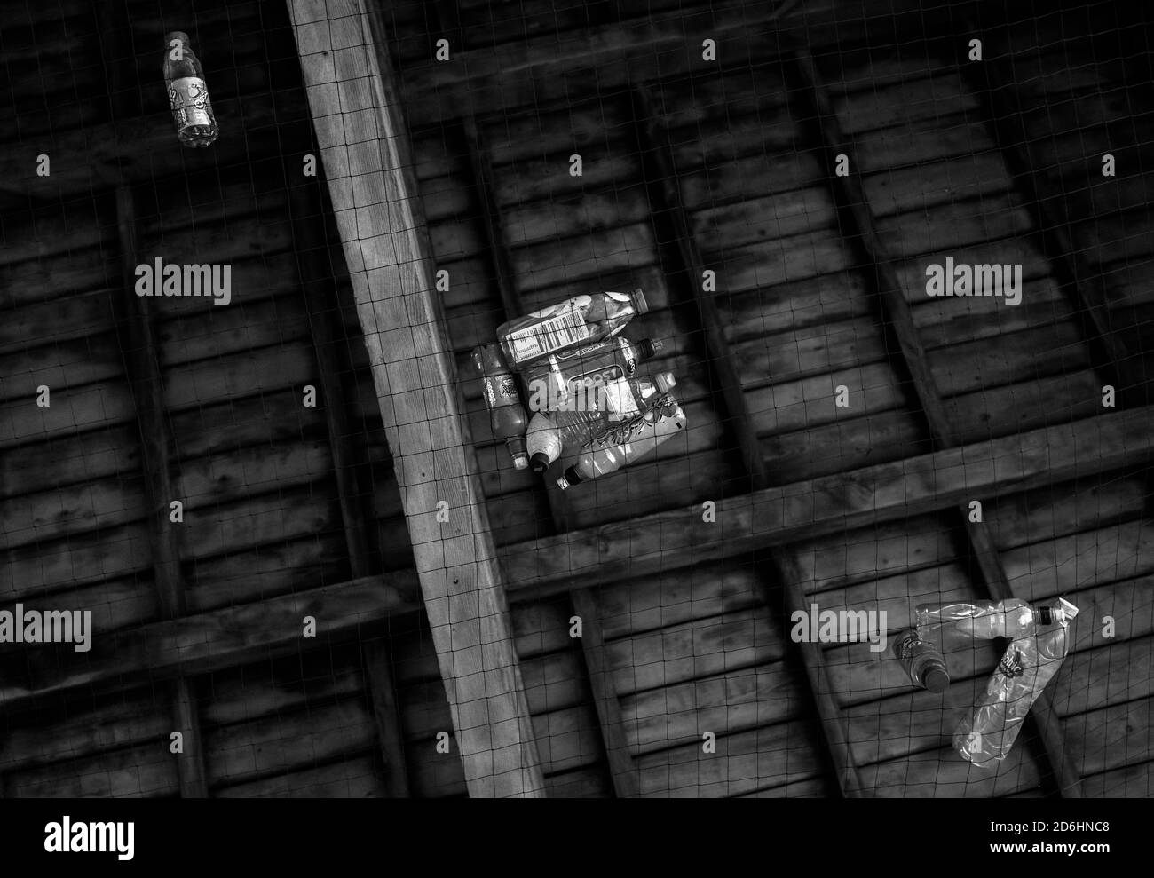 Discarded plastic drinks bottles caught in roof netting. Stock Photo