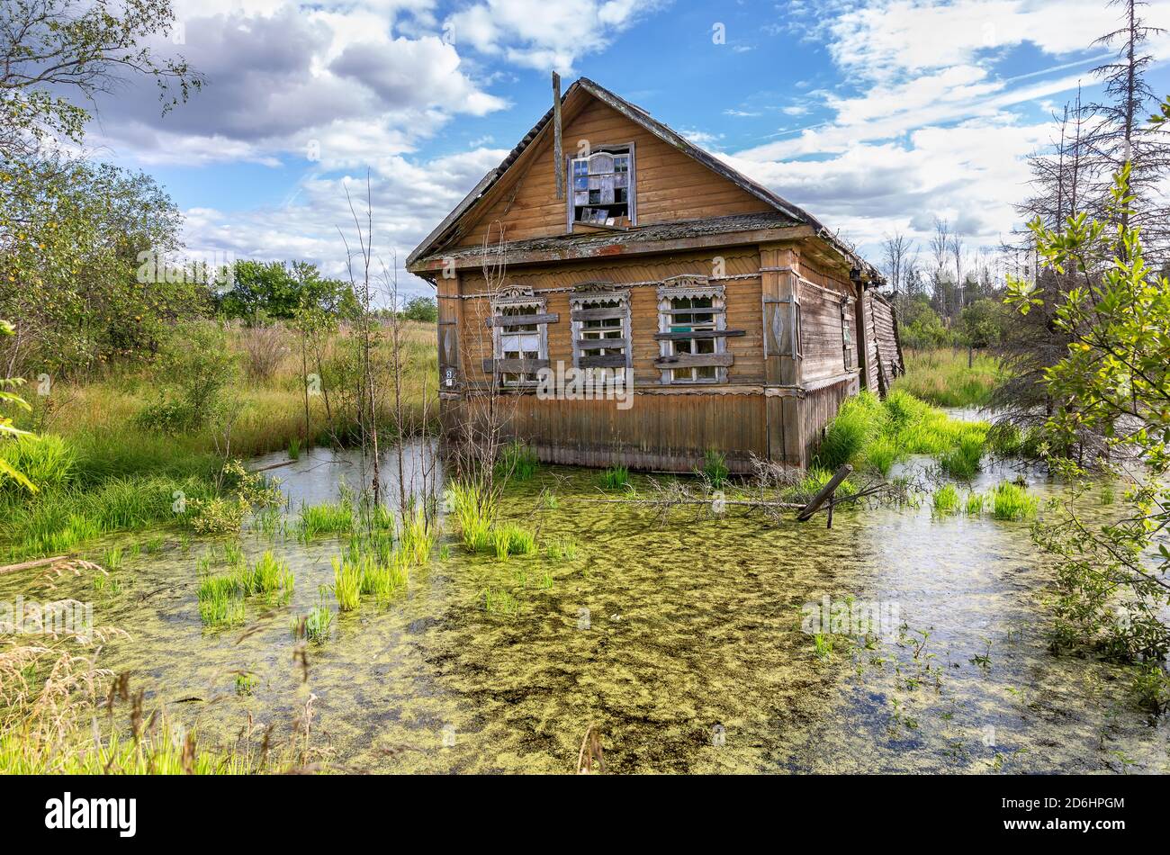 Old wooden abandoned house in a swamp in the countryside in summer day