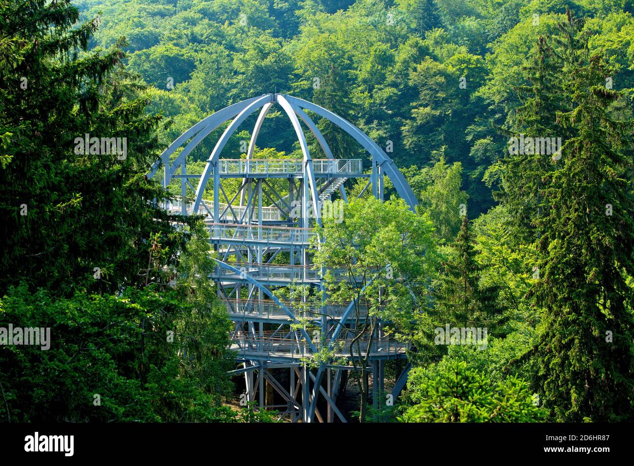 Verwunderlich Baumwipfelpfad Bad Harzburg Ebenbild