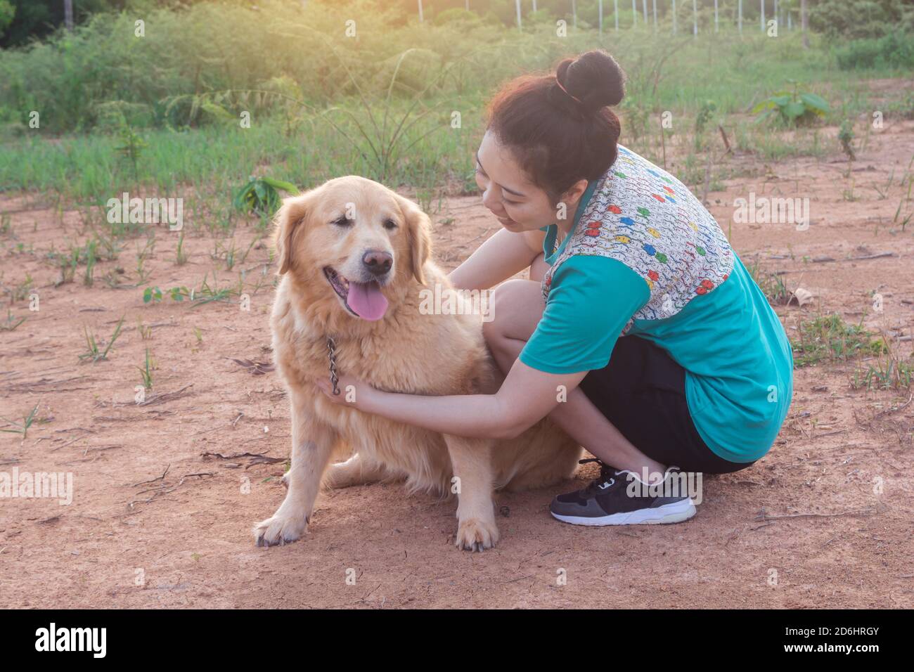 Asian woman playing with her golden retriever dog in a park outdoors ...