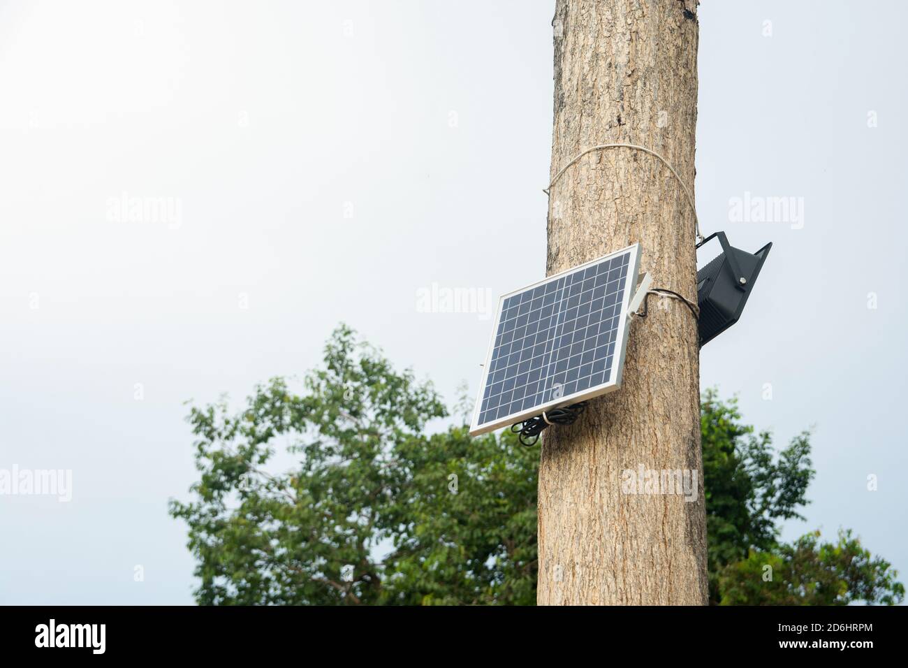 Solar cell install on the tree Stock Photo - Alamy