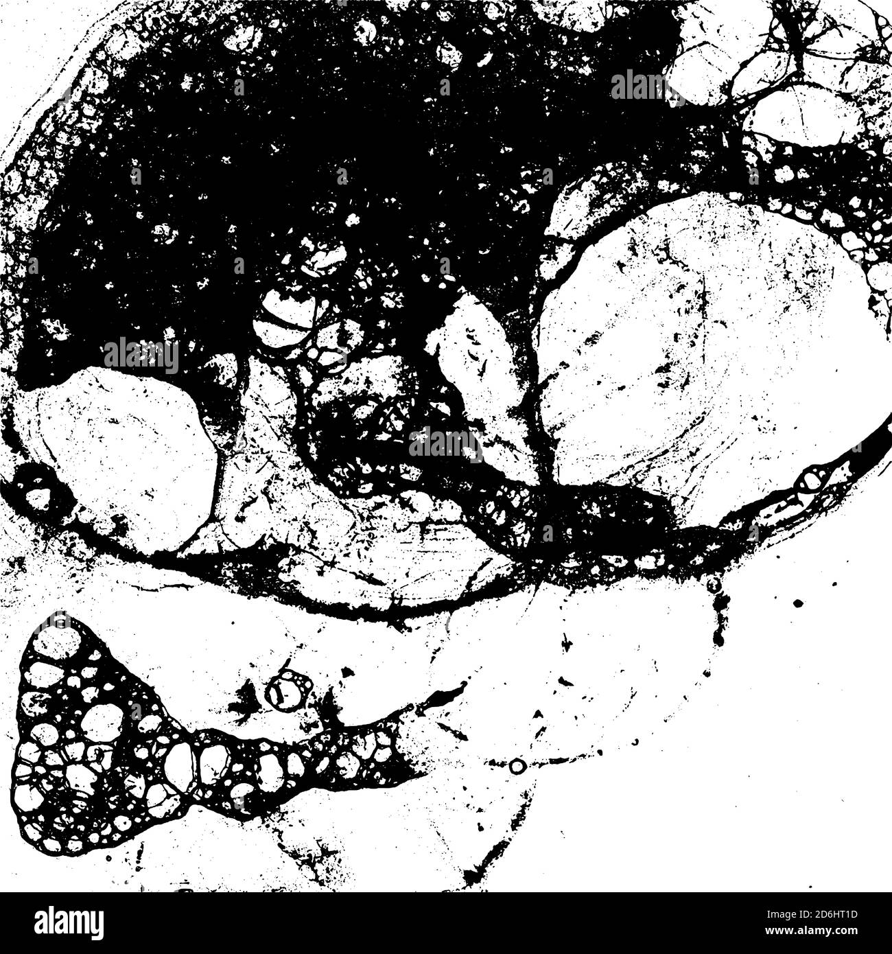 Vector grunge texture in black and white Stock Vector Image & Art - Alamy