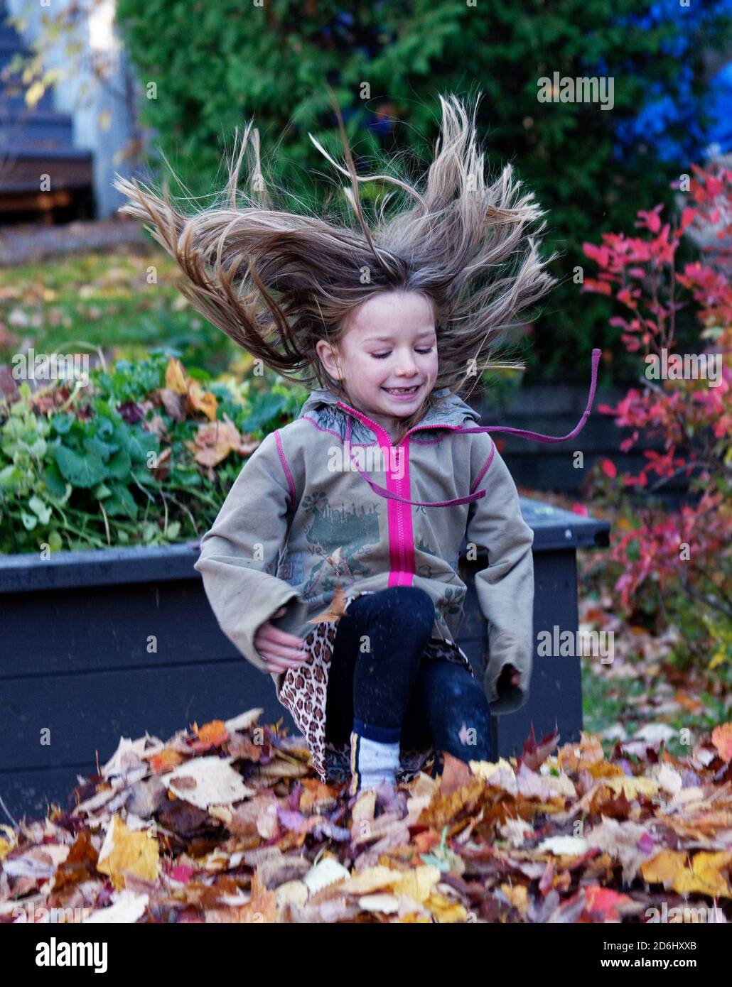 A 6 year old girl, jumping into a pile of autumn leaves Stock Photo