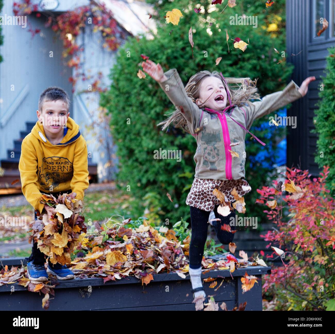 Two children, an 8 year old boy and his 6 year old sister, jumping and throwing playing with autumn leaves Stock Photo