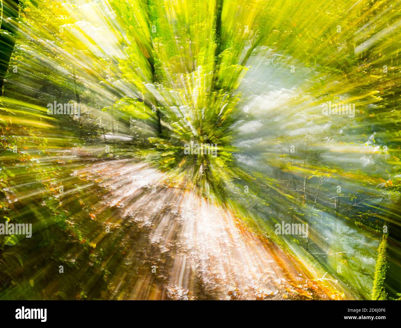 Stunning frenzy expoding explosion Fall Autumn season in woodland forest in Zeleni vir in Skrad in Croatia Europe kind of violent mental agitation Stock Photo