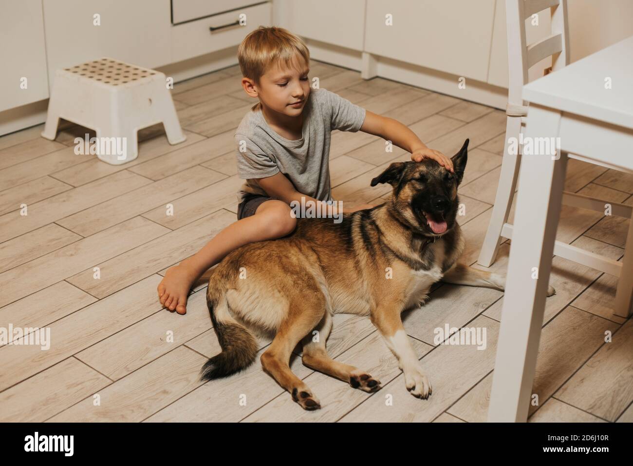 A seven year old boy is stroking his dog at home on the floor. Warm light. Blonde child and pet Stock Photo