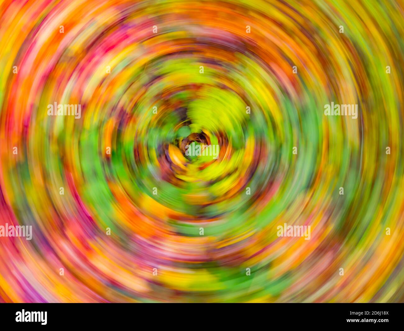 Fallen leaves on ground circular round motion frenzy creative Fall Autumn season in woodland forest in Zeleni vir in Skrad in Croatia Europe Stock Photo