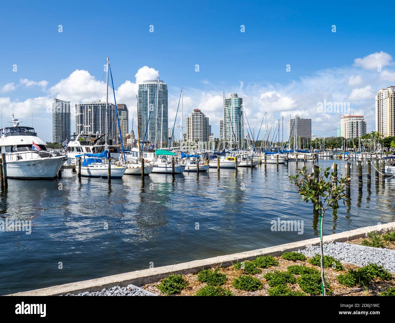 Waterfront marina with skyline of St Petersburg Florifa USA in the background Stock Photo