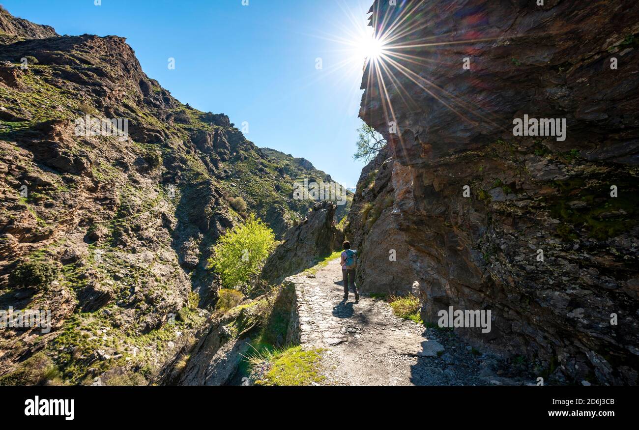 Hiker on hiking trail Vereda de la Estrella, Sierra Nevada, mountains near Granada, Andalusia, Spain Stock Photo