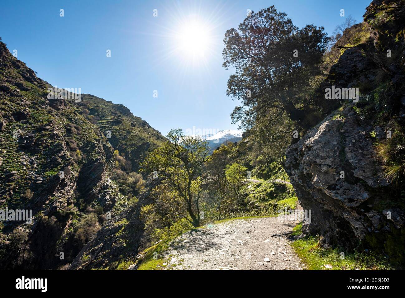 Hiking trail Vereda de la Estrella, Sierra Nevada, mountains near Granada, Andalusia, Spain Stock Photo