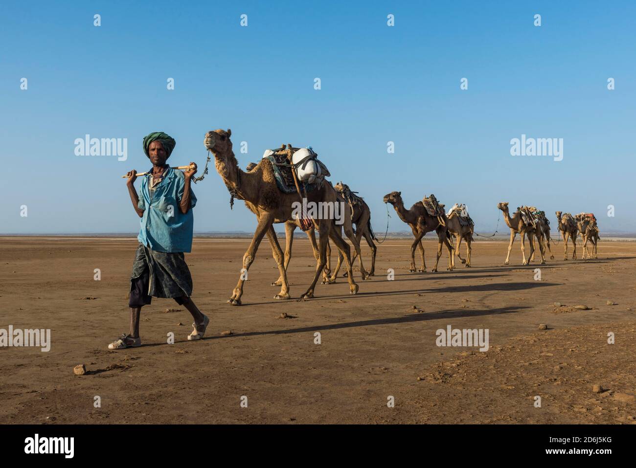 Camel caravan in the desert, Danakil Depression, Ethiopia Stock Photo