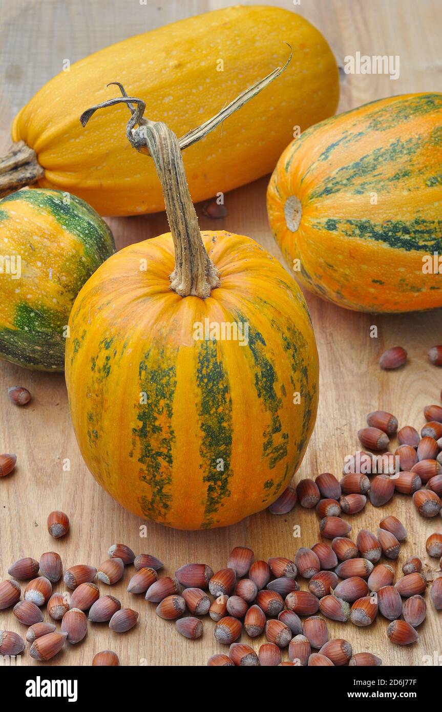 Pumpkins, organic Stock Photo